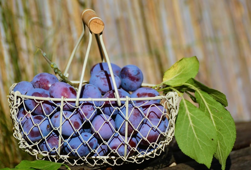 Seasonal Produce